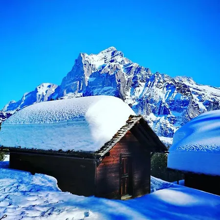 Thun Alps Scenic Views And Concierge By Swisshut * Oberhofen