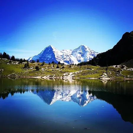 Apartament Thun Alps Scenic Views And Concierge By Swisshut *