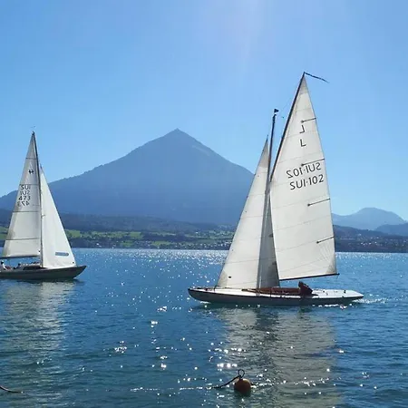 Thun Alps Scenic Views And Concierge By Swisshut