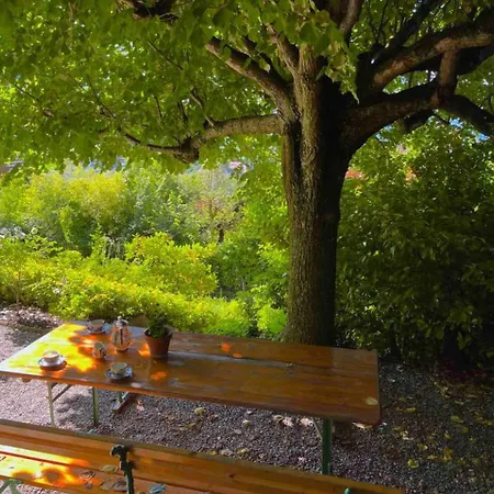 Thun Alps Scenic Views And Concierge By Swisshut Oberhofen