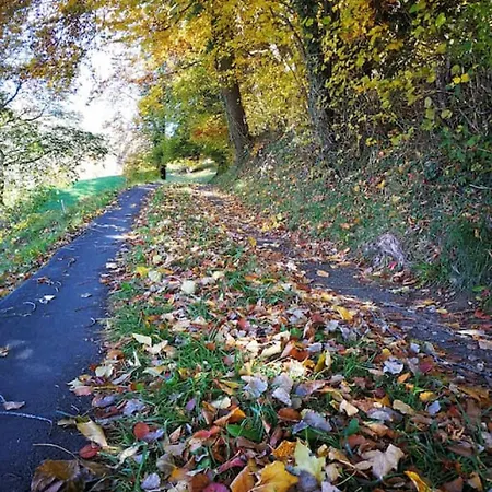 Thun Alps Scenic Views And Concierge By Swisshut דירה