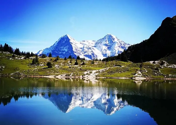 דירה Thun Alps Scenic Views And Concierge By Swisshut *