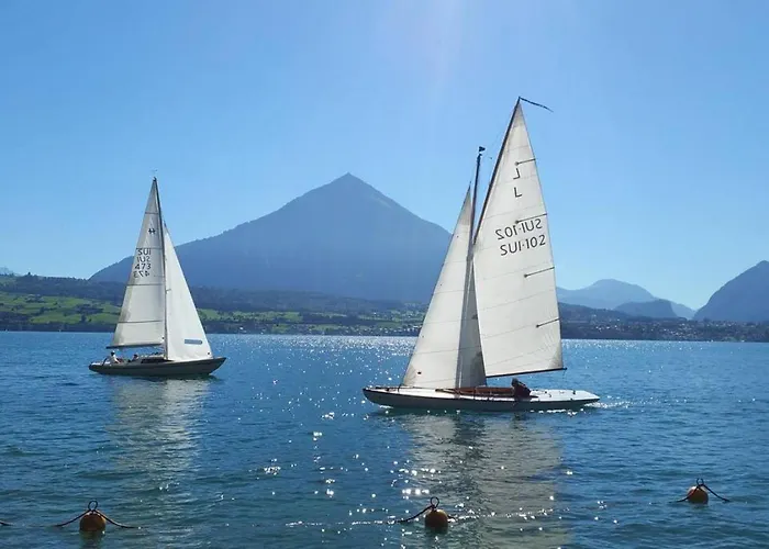 Thun Alps Scenic Views And Concierge By Swisshut