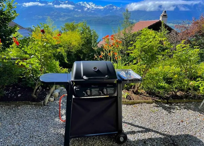 Thun Alps Scenic Views And Concierge By Swisshut דירה Oberhofen