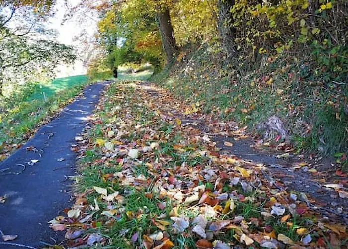 Thun Alps Scenic Views And Concierge By Swisshut דירה