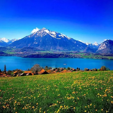 Lake Thun Alps Scenic Views And Concierge By Swisshut Lägenhet *