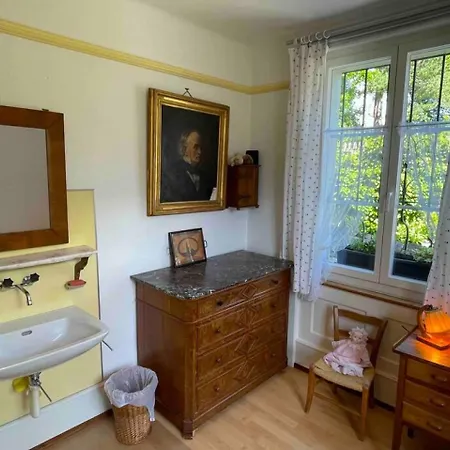 Lake Thun Alps Scenic Views And Concierge By Swisshut *